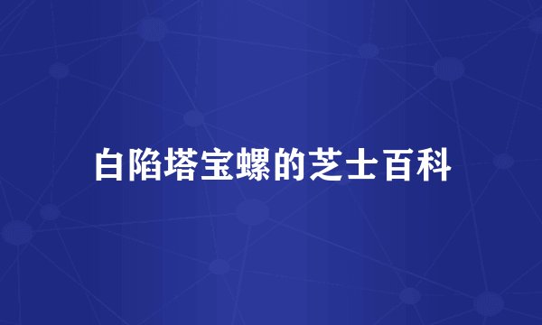 白陷塔宝螺的芝士百科