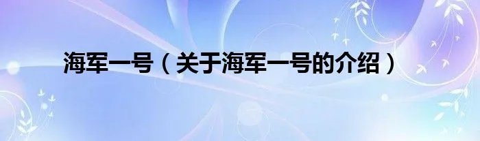 海军一号（关于海军一号的介绍）