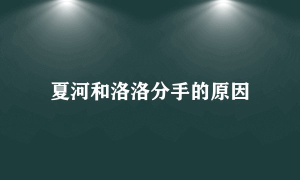 夏河和洛洛分手的原因