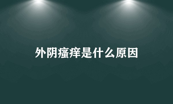 外阴瘙痒是什么原因