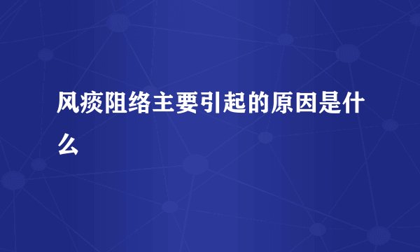风痰阻络主要引起的原因是什么