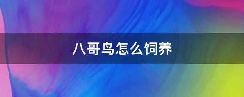 八哥鸟怎么饲养