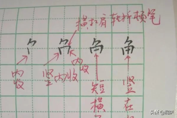 鱼的笔顺和书写方法?
