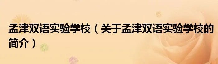 孟津双语实验学校（关于孟津双语实验学校的简介）