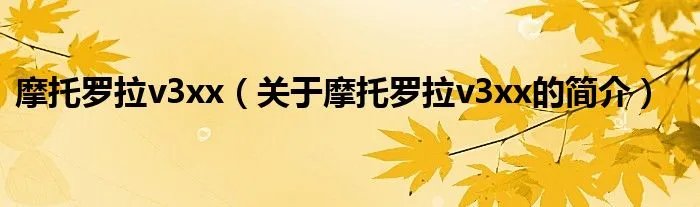 摩托罗拉v3xx（关于摩托罗拉v3xx的简介）