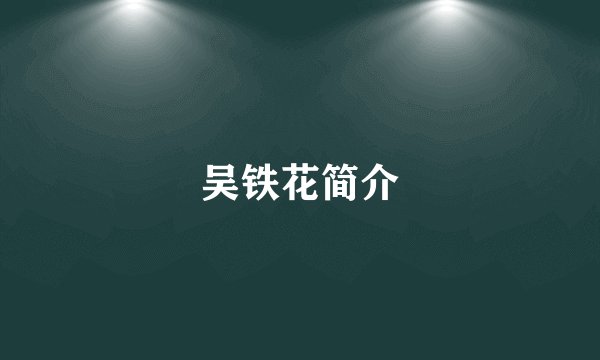 吴铁花简介