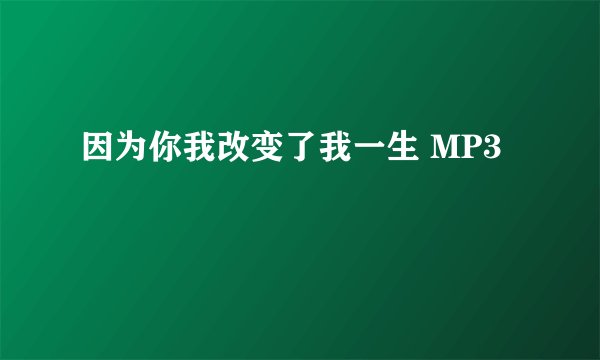 因为你我改变了我一生 MP3