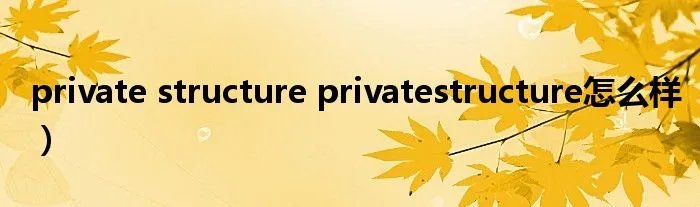 private structure privatestructure怎么样)