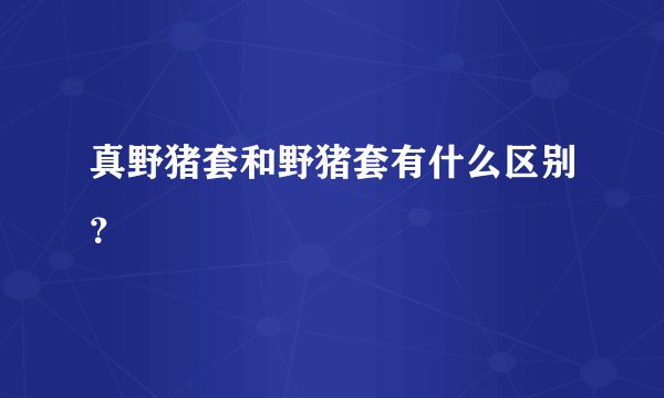 真野猪套和野猪套有什么区别？