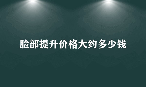 脸部提升价格大约多少钱