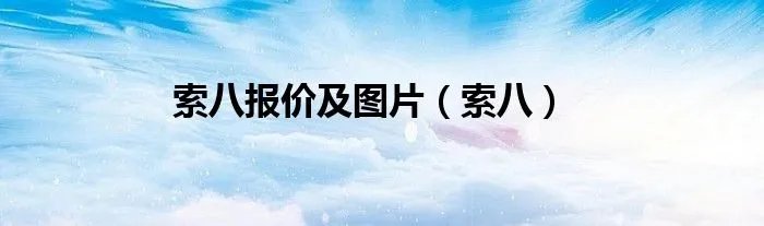 索八报价及图片（索八）