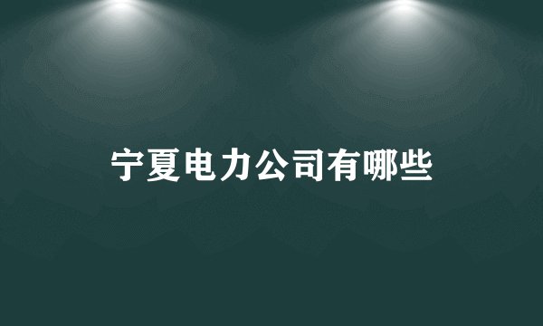 宁夏电力公司有哪些