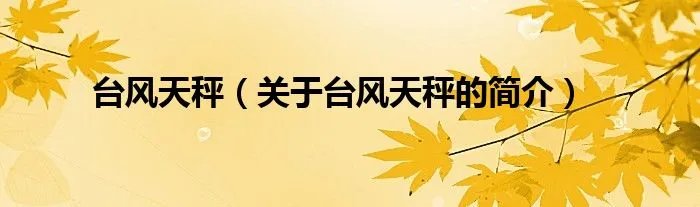 台风天秤（关于台风天秤的简介）