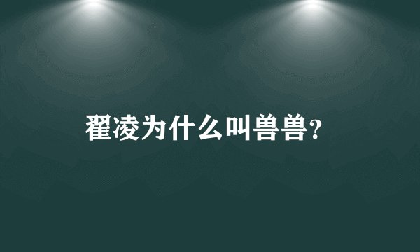 翟凌为什么叫兽兽？