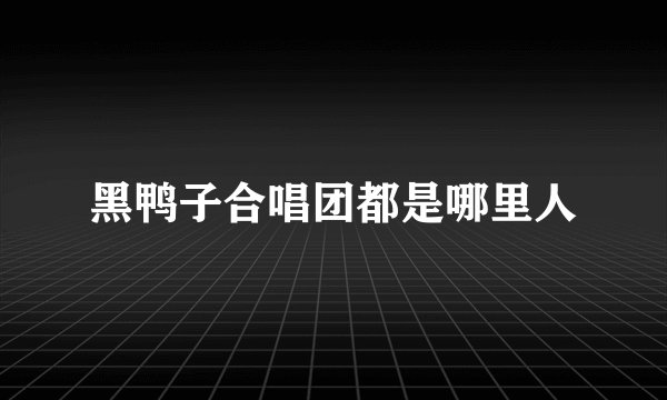 黑鸭子合唱团都是哪里人