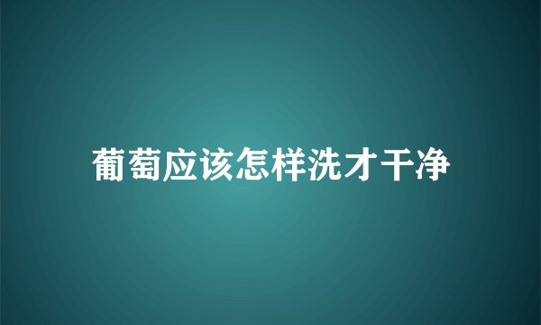 葡萄应该怎样洗才干净