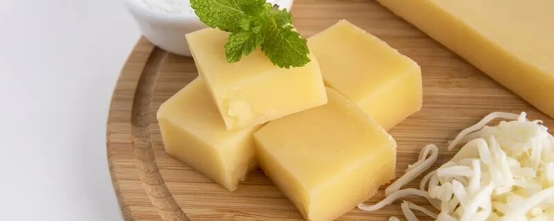 乳酪是什么