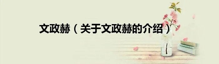 文政赫（关于文政赫的介绍）