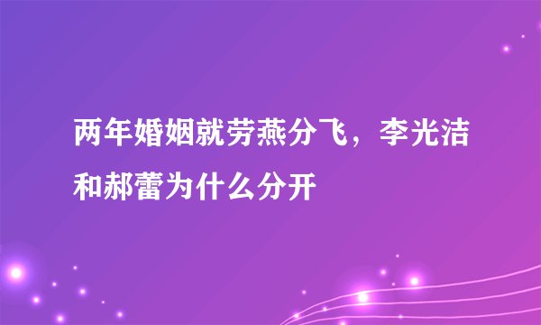 两年婚姻就劳燕分飞，李光洁和郝蕾为什么分开