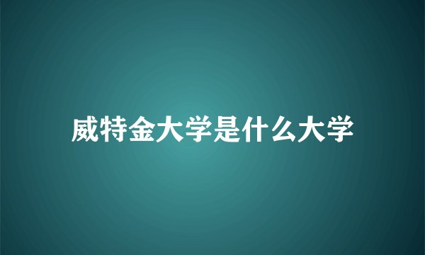 威特金大学是什么大学
