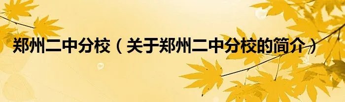 郑州二中分校（关于郑州二中分校的简介）