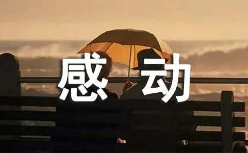 感动的一件事作文