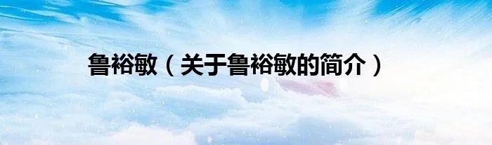鲁裕敏（关于鲁裕敏的简介）