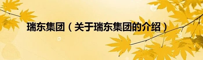 瑞东集团（关于瑞东集团的介绍）
