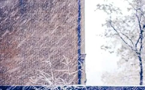 下雪了日记
