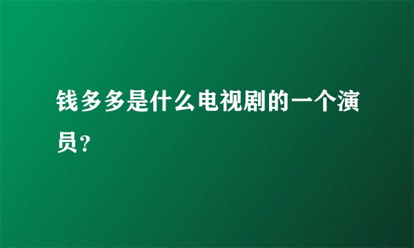 钱多多是什么电视剧的一个演员？