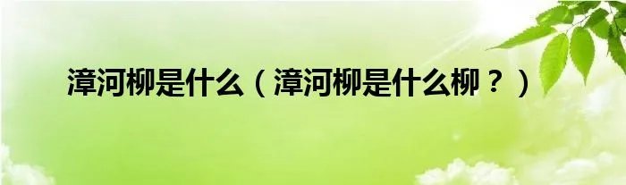 漳河柳是什么（漳河柳是什么柳？）
