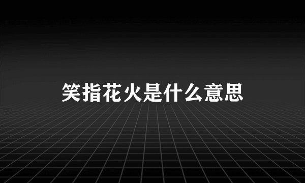 笑指花火是什么意思