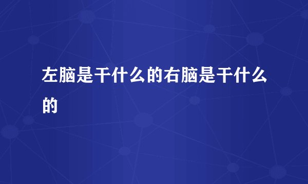 左脑是干什么的右脑是干什么的