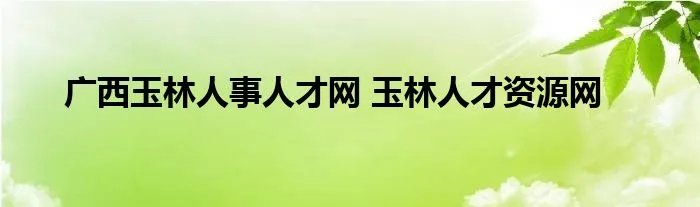 广西玉林人事人才网 玉林人才资源网