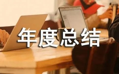 年度总结报告