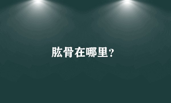 肱骨在哪里？
