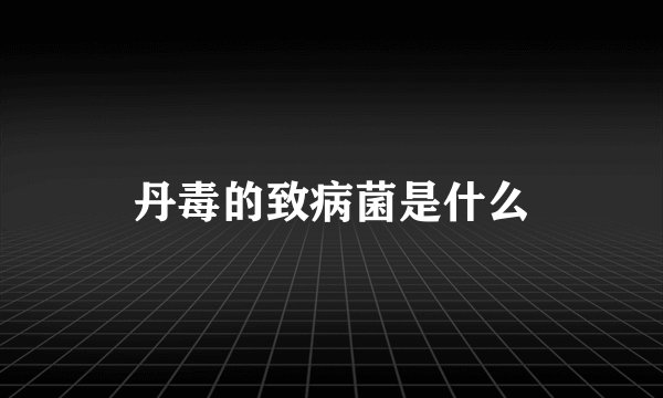 丹毒的致病菌是什么