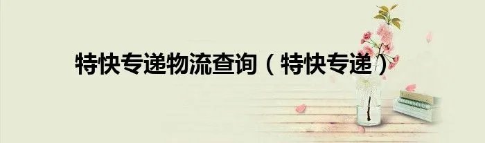 特快专递物流查询（特快专递）