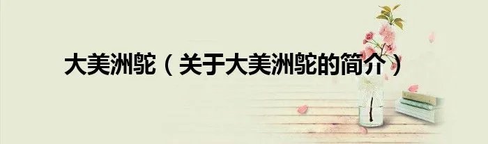 大美洲鸵（关于大美洲鸵的简介）