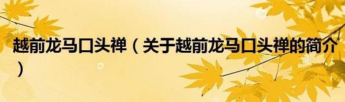 越前龙马口头禅（关于越前龙马口头禅的简介）
