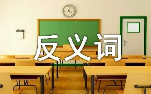 失望的反义词是什么
