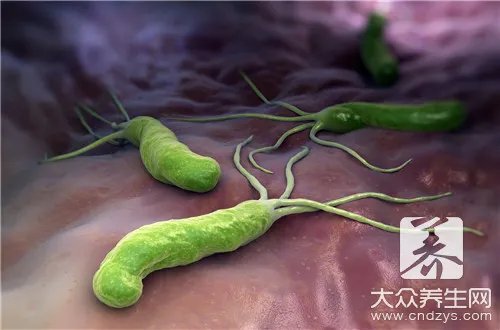 肉毒杆菌是什么东西