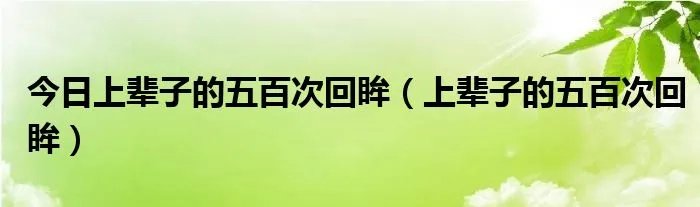 今日上辈子的五百次回眸（上辈子的五百次回眸）
