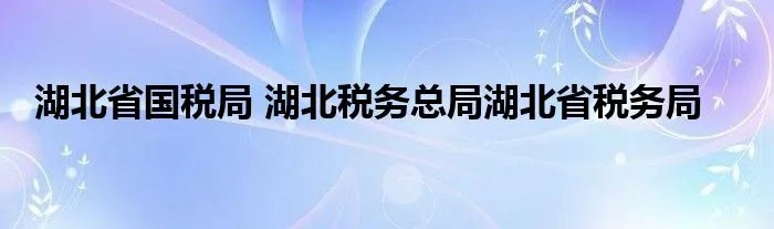 湖北省国税局 湖北税务总局湖北省税务局