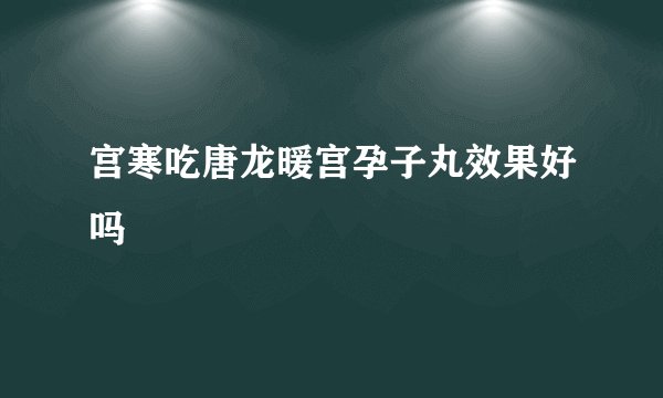 宫寒吃唐龙暖宫孕子丸效果好吗