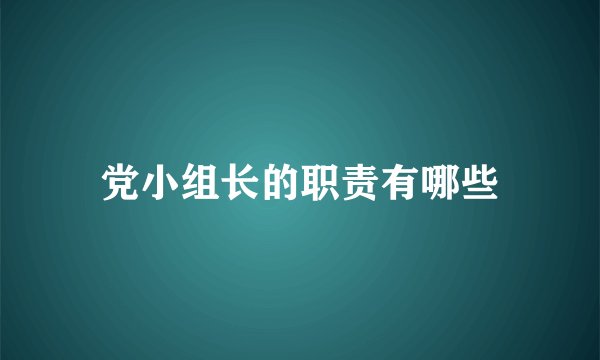 党小组长的职责有哪些