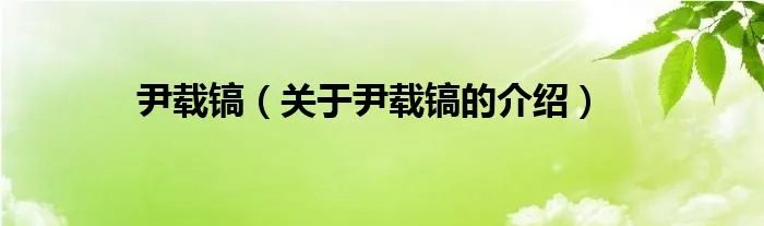 尹载镐（关于尹载镐的介绍）