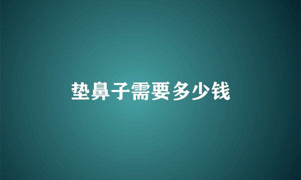 垫鼻子需要多少钱