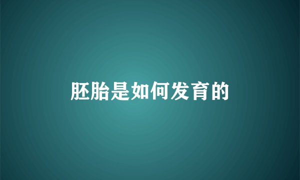 胚胎是如何发育的