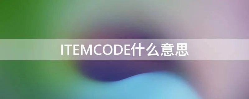 ITEMCODE什么意思